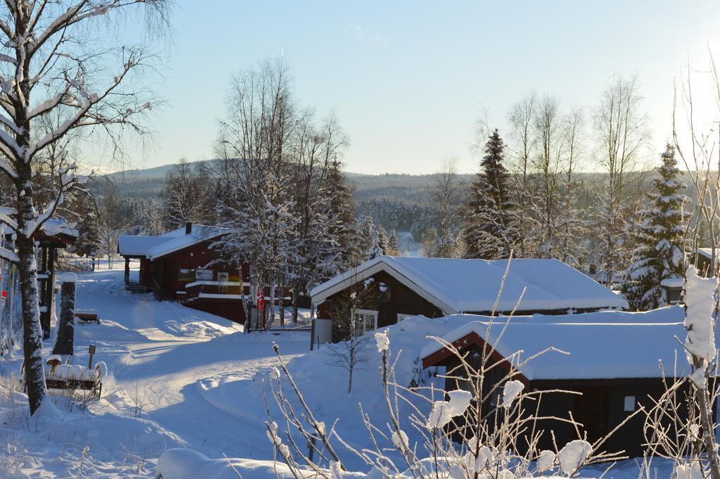 Trysil Motell & Vandrerhjem Dış mekan fotoğraf